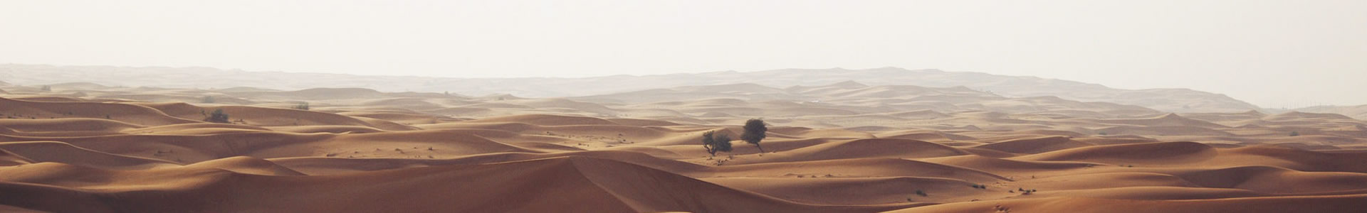 в⼼޹˾
